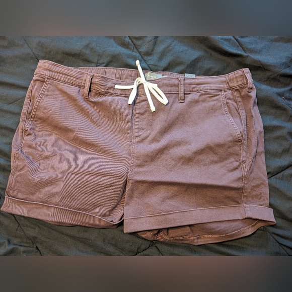 NWT Torrid 3.5 inch pull-on weekend stretch twill short, puce - Picture 2 of 6